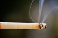 CBD reducerer forbruget af cigaretter