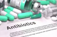 CBD hampolie og antibiotika